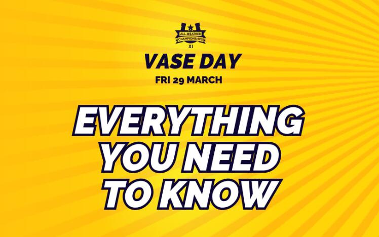 Vase Day everything you need to know
