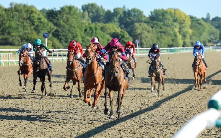 Immortal beauty at Lingfield last Racing League 